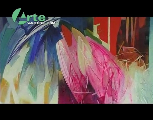 Artevarese - Puntata del 25/04/2013